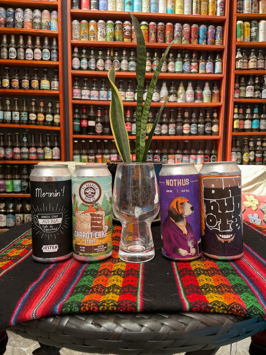 Pack Stout + Vaso